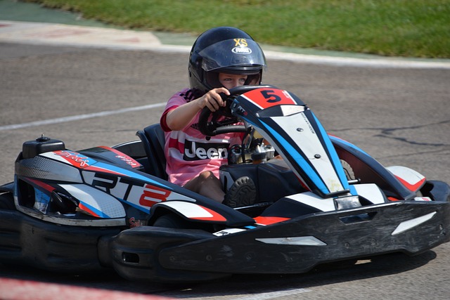 Karting Unterricht Driebergen